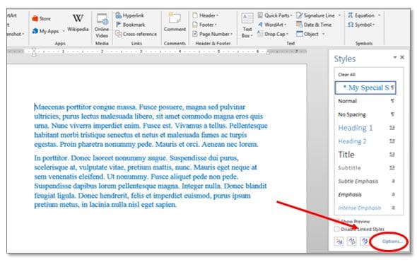 Set_View_Options_on_Word_Style_Pane